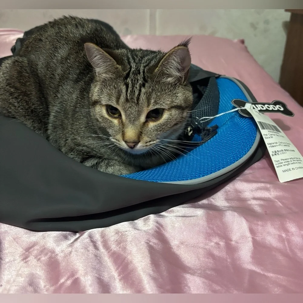 😍 YUDODO Pet Sling Carrier | Sz Medium | Sky Blue | Brand New